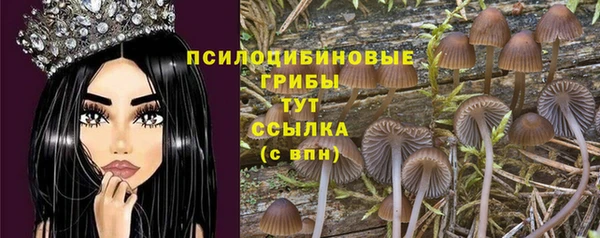 ALPHA PVP Михайловск